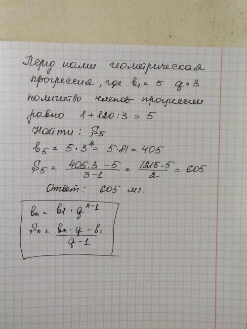 В ходе биологического эксперемента в чашку Петри с питательной средой поместили колонию микроорганиз