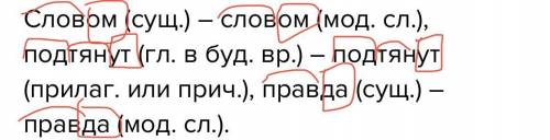 Подберите примеры или придумайте свои предложения, в которых данные словоформы отличались бы своим м