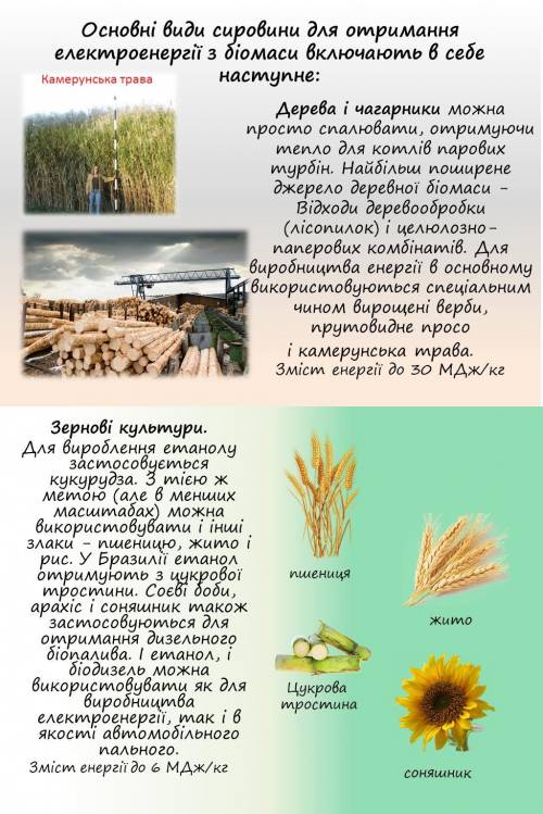 ів! До іть будь ласка Семінар/презентація на тему «Енегрія біомаси»