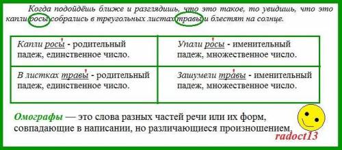 Найдите в тексты формы слов, отличающиеся от других форм того же слова местом ударения. Какие это фо