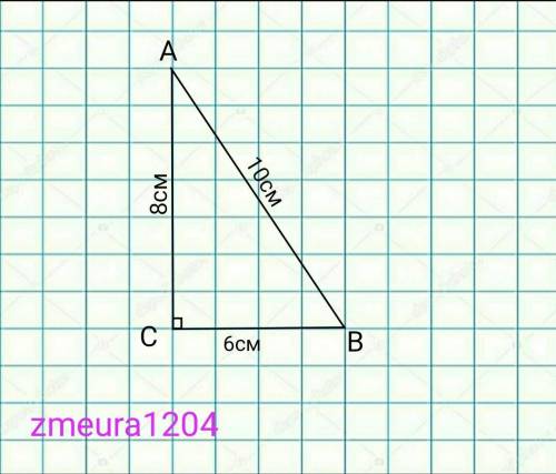 У треугольника ABC с прямым кутом C Гипотенуза AB =10 см BC =6 см АС =8 см .Найдите косинус угла B