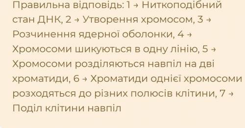 Визначте послідовність фаз перебігу клітинного циклу: