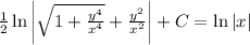 \frac{1}{2}\ln\left|\sqrt{1+\frac{y^4}{x^4}}+\frac{y^2}{x^2}\right|+C=\ln|x|