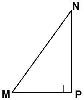 1. Дан прямоугольный треугольник MNP с прямым углом Р. Установите соответствия между сторон и тригон