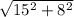 \sqrt{15^{2} +8^{2}