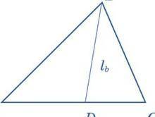 Що таке бісектриса, медіана, висота трикутника? Просте пояснення. Відповідь прикрипіть прикладами ма