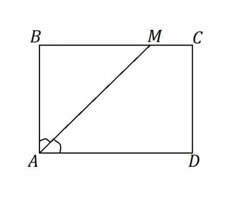 Биссектриса АМ прямоугольника ABCD делит сторону ВС на отрезки ВМ и МС, соответственно равные 9 и 4.