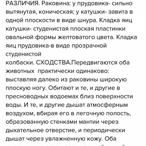 Рассмотрите раковину большого прудовика Отметьте сходство и различия внешнего строения раковин. Подс