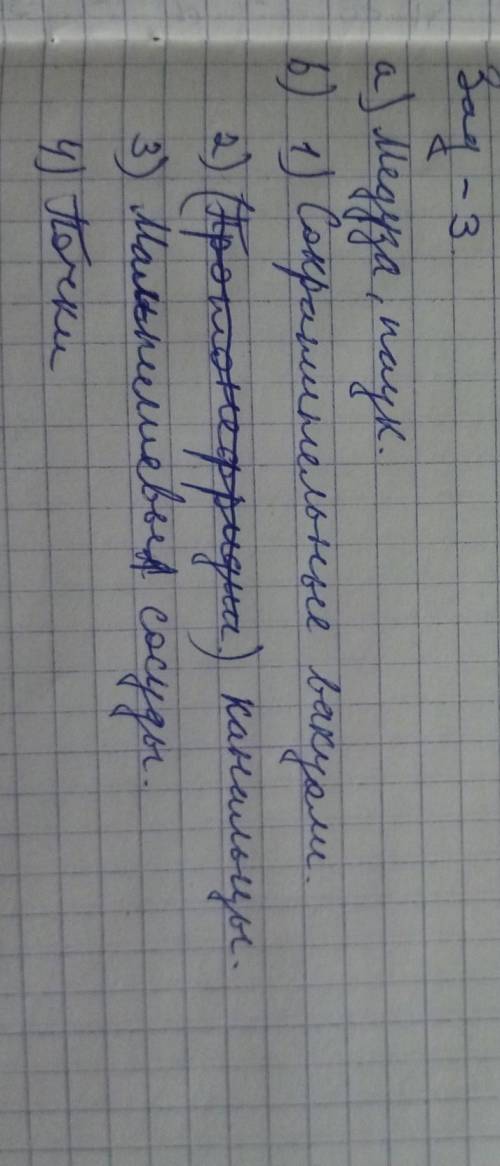 ЗАДАНИЯ, 1. п) Выделительную функцию выполняют многие органы. Установите соответствие между органами