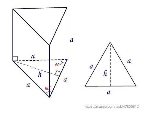 Усі ребра правильної трикутної прямої призми рівні. Знайдіть висоту основи призми, якщо об’єм фігури