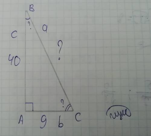 Найдите гипотенузу и острые углы прямоугольного треугольника,если его катеты равны 9см и 40см