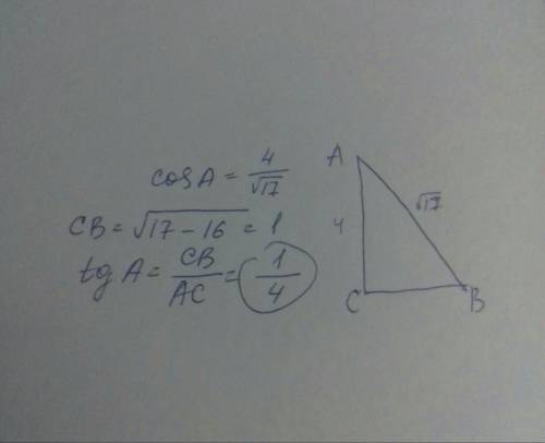 Впрямоугольном треугольнике косинус а равняется 4 деленное на корень из 17 найдите тангенс а​