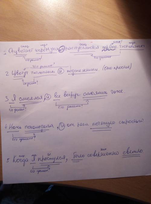 2) расставьте знаки препинания, подчеркните грамматические осно(мл. и союзы обведите в кружок, нарис