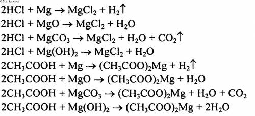 Напишите уравнения реакций взаимодействий магния, оксида магния, карбоната магния и гидроксида магни