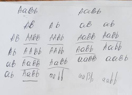 На руском: в научной лаборатории проведено скрещивание дигетерозиготних мушек дрозофил, которые имел