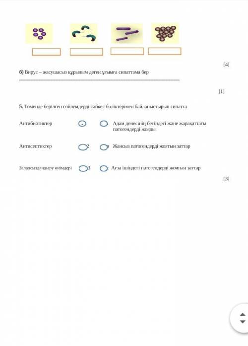 плез. қандай түрлер екенін жазу керек.