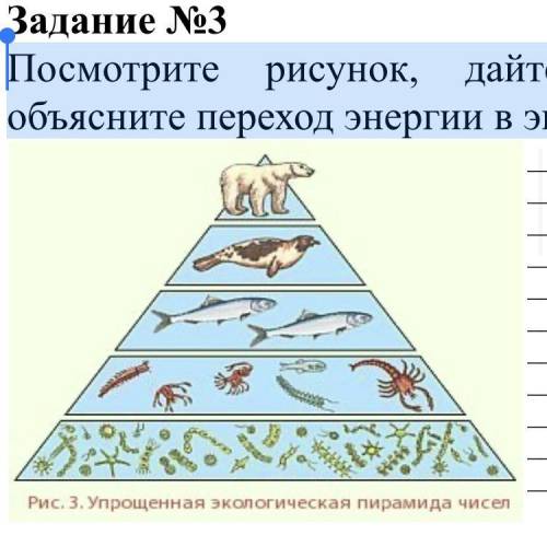 Посмотрите рисунок, дайте название экосистеме и объясните переход энергии в экологической пирамиде.