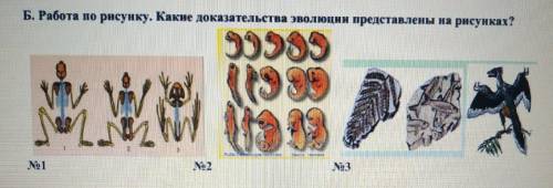 Задание №2. Найдите ошибки в тексте. Выпишите номера предложений, в которых вы обнаружили ошибки и р