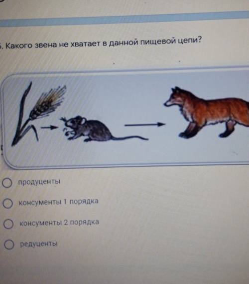 Какого звена не хватает в данной пищевой цепи?Продуценты Консументы 1 порядка Консументы 2 порядка Р