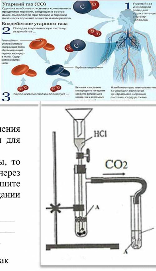 Определите верные суждения о соединениях углерода.I. Диоксид углерода может быть получен разложением