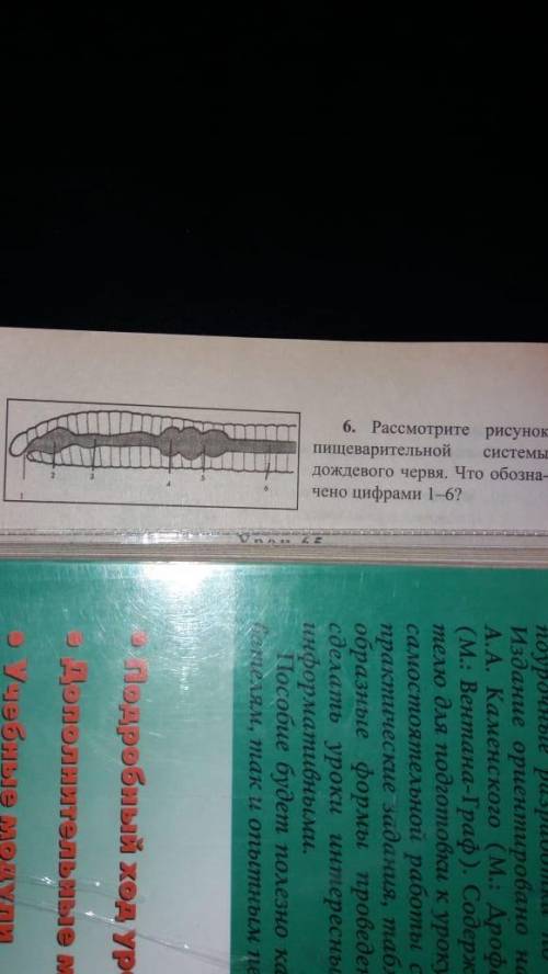 Ради бога мне этр сделать, я уже не выдерживаю