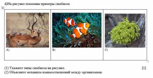 (1) Укажите типы симбиоза на рисунке. (2) Объясните механизм взаимоотношений между организмами