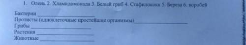 Определите к каким царствам относиться живые организмы​