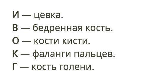 ( Отметь верную последовательность расположения отделов задней конечности Птицы (начиная от