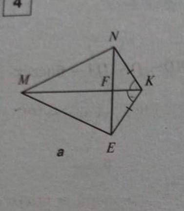 3.равны ли треугольники MNF и MEF? 4.Перпендикуляры лли MK и NE? ​