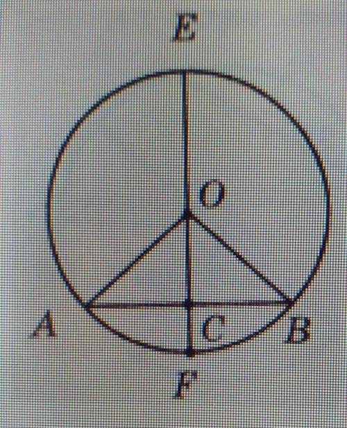 Ef диаметр окружности AC равно Bc угол OAC равен 35 градусов Определите вид треугольника OBC Найдите