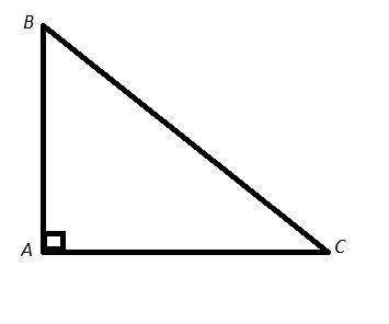 Известно, что в прямоугольном треугольнике ABC с прямым углом A гипотенуза BC=41, cosC=0,8. Определ
