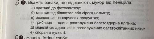 Вкажіть ознаки,що відрізняють мукор від пеніциліна​