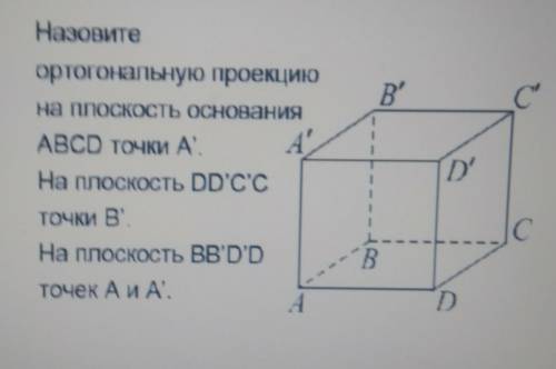 Назовите ортогональную проекцию на плоскости основания ABCD точки A1. На плоскость DD1C1C точки B .