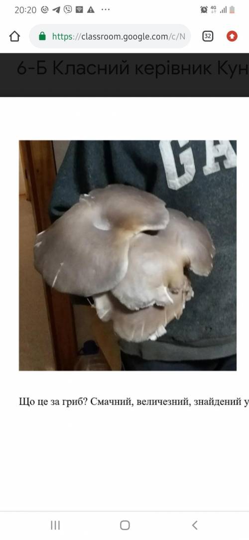 Що це за гриб скажіть будь ласка)