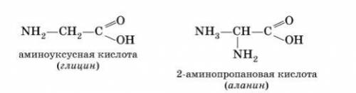 Даны: глицин и аланин (формулы приведены в фото) Сколько дипептидов можно составить (предложите в