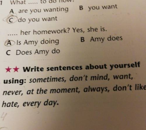 Write sentences about yourself using: sometimes, don't mind, want,never, at the moment, always, d