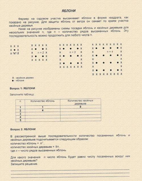 Вопрос 3: Предположим, что фермер решил постепенно увеличивать число рядов яблонь на своем участке.