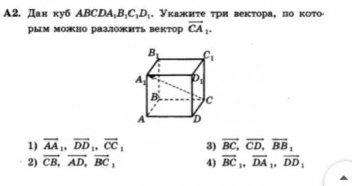 Дан куб абсд а1б1с1д1