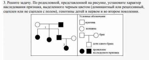 Смотрите во вложении.