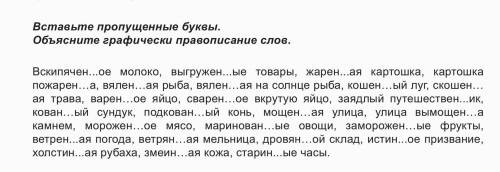 Ребят очень важно Обязательно объяснить почему написали н или нн