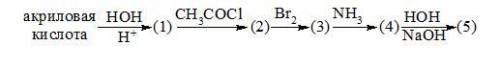Какая аминокислота образуется в результате серии превращений ( в фото): а) серин б) треонин в) алан