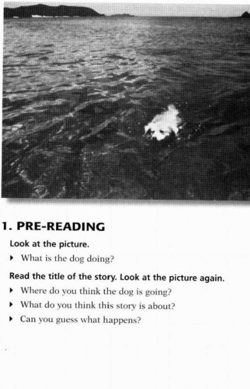 1. PRE-READING Look at the picture.What is the dog doing?Read the title of the story. Look at the