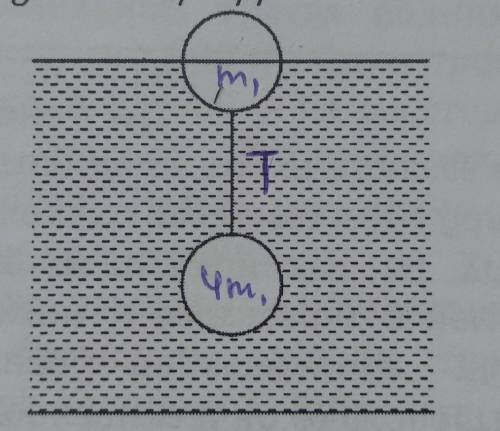 Два шарика одинакового объема = 10 м³ соединены нитью как показано на рисунке. Определите силу натиж
