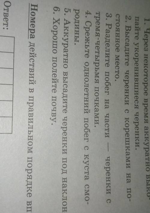 Расставьте по порядку действия которые необходимо выполнить ребятам при размножение смородины черенк