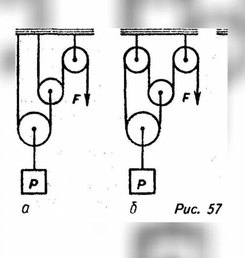 Во сколько раз сила F отличается от силы P?​