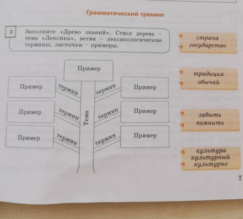 Грамматический тренинг 3Заполните «Древо знаний». Ствол дереватема «Лексика», ветви - лексикологичес