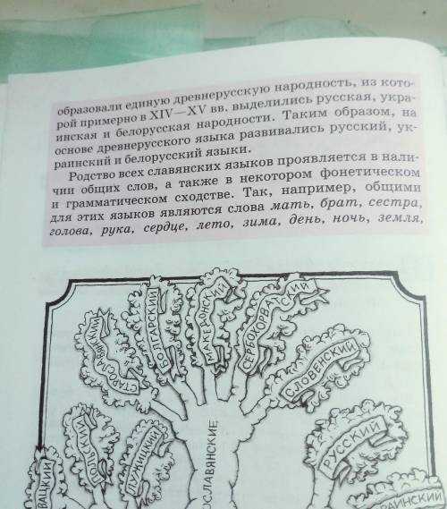 Внимательно рассмотрите рисунок на с. 4. Он даёт представ-ление о группе славянских языков, одним из