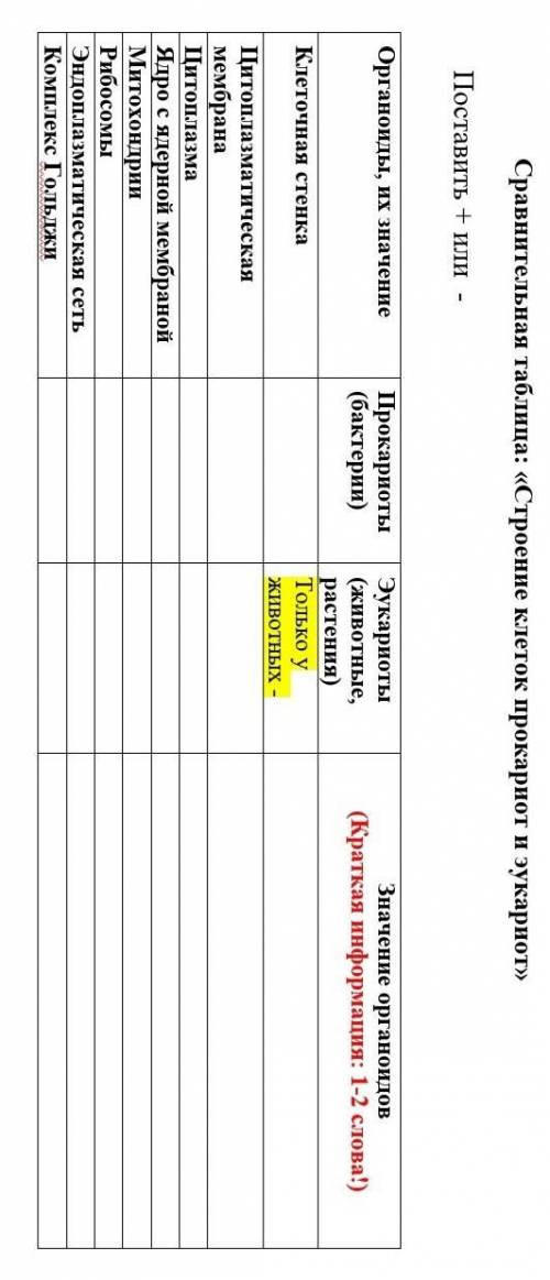 Сравнительная таблица: «Строение клеток прокариот и эукариот»​