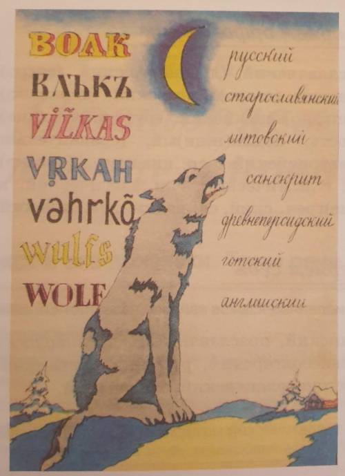 1.Рассмотрите рисунок из книги А.А. Леонтьева Что такое язык и определите, слова языков какой семь