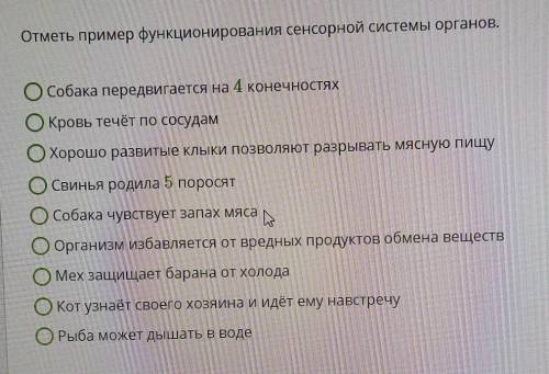 Отметь пример функционирования сенсорной системы органов. Собака передвигается на 4 конечностяхКровь